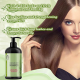 TaimeiMao – شامبو الروزماري لإصلاح الشعر وتغذيته – 355 مل